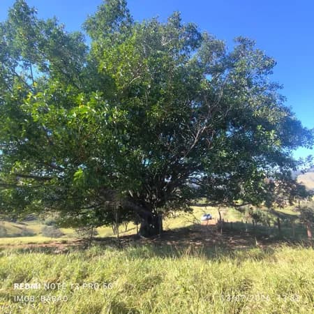 OPORTUNIDADE ÚNICA A 5KM DA CIDADE