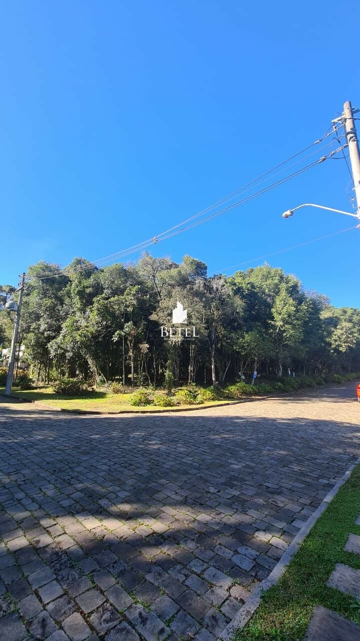 Lote/Terreno em Caxias do Sul - Ana Rech