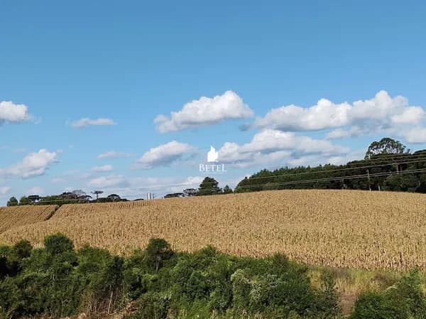 Lote/Terreno em Caxias do Sul - Forqueta