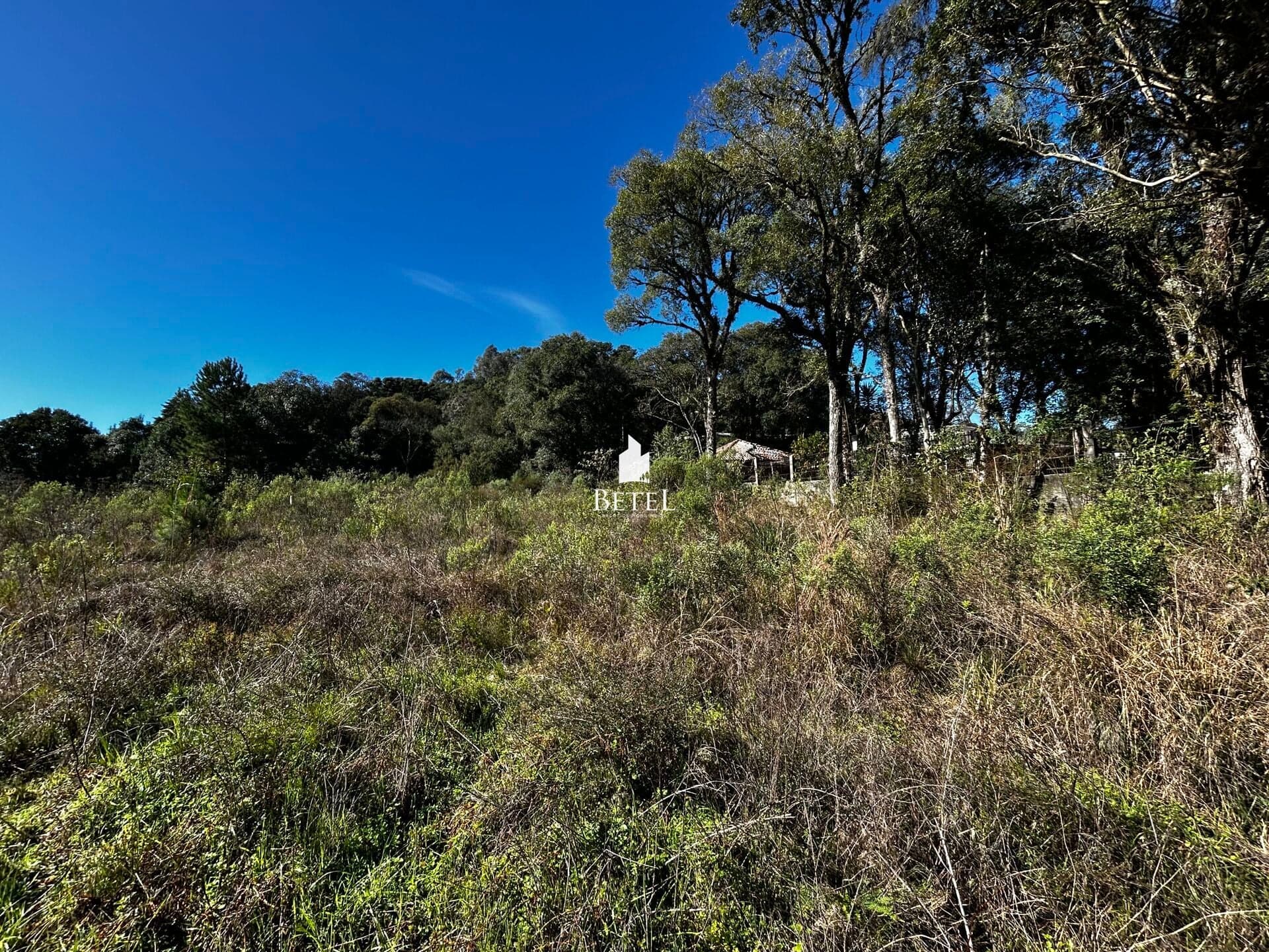 Lote/Terreno em Caxias do Sul - Ana Rech