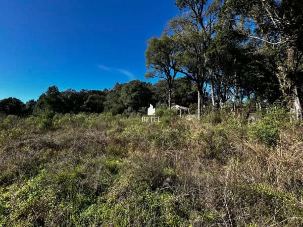 Lote/Terreno em Caxias do Sul - Ana Rech