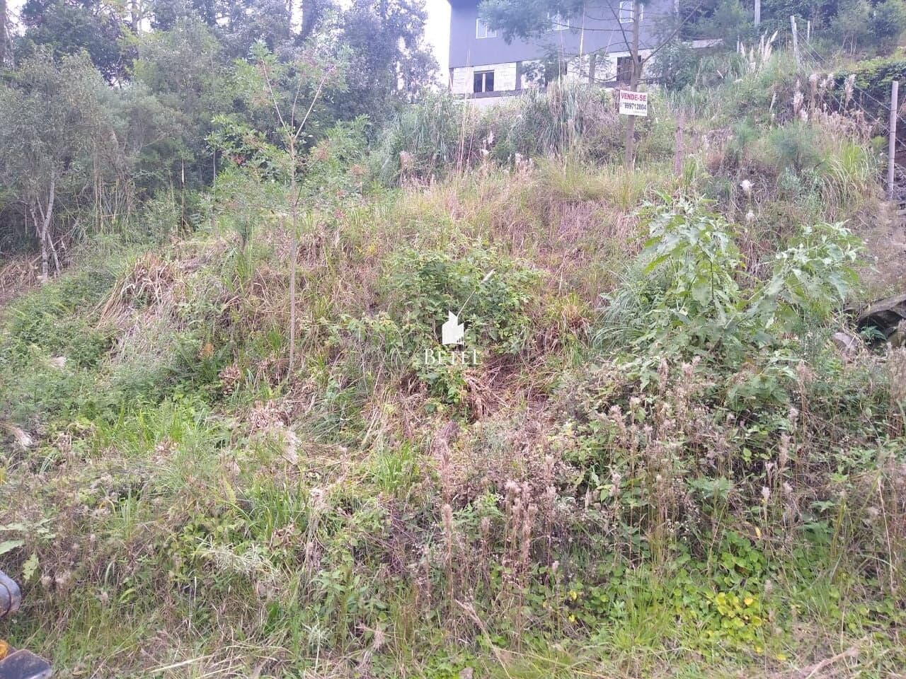 Lote/Terreno em Caxias do Sul - Cruzeiro