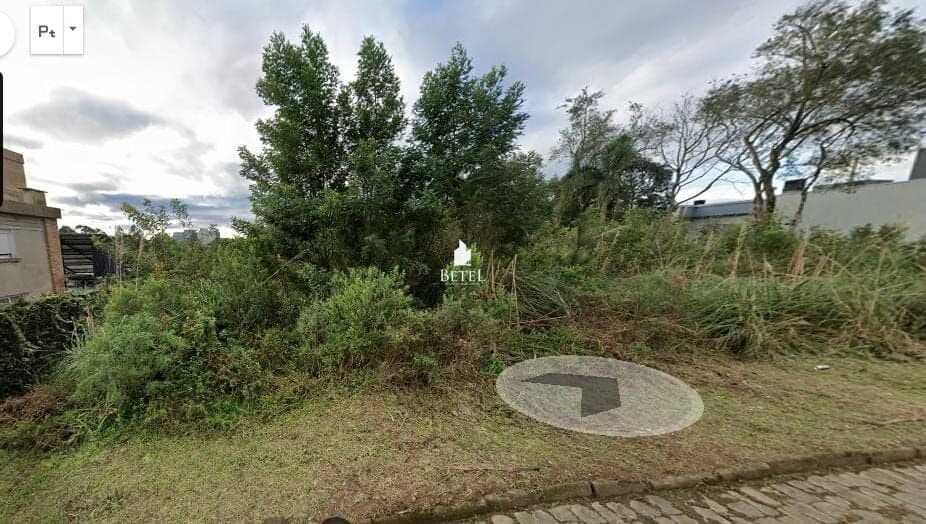 Lote/Terreno em Caxias do Sul - São Luiz