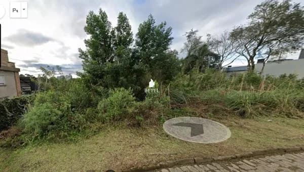 Lote/Terreno em Caxias do Sul - São Luiz