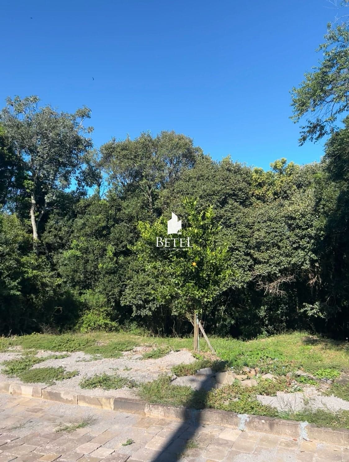 Lote/Terreno em Caxias do Sul - Linha 40
