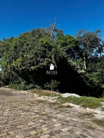 Lote/Terreno em Caxias do Sul - Linha 40
