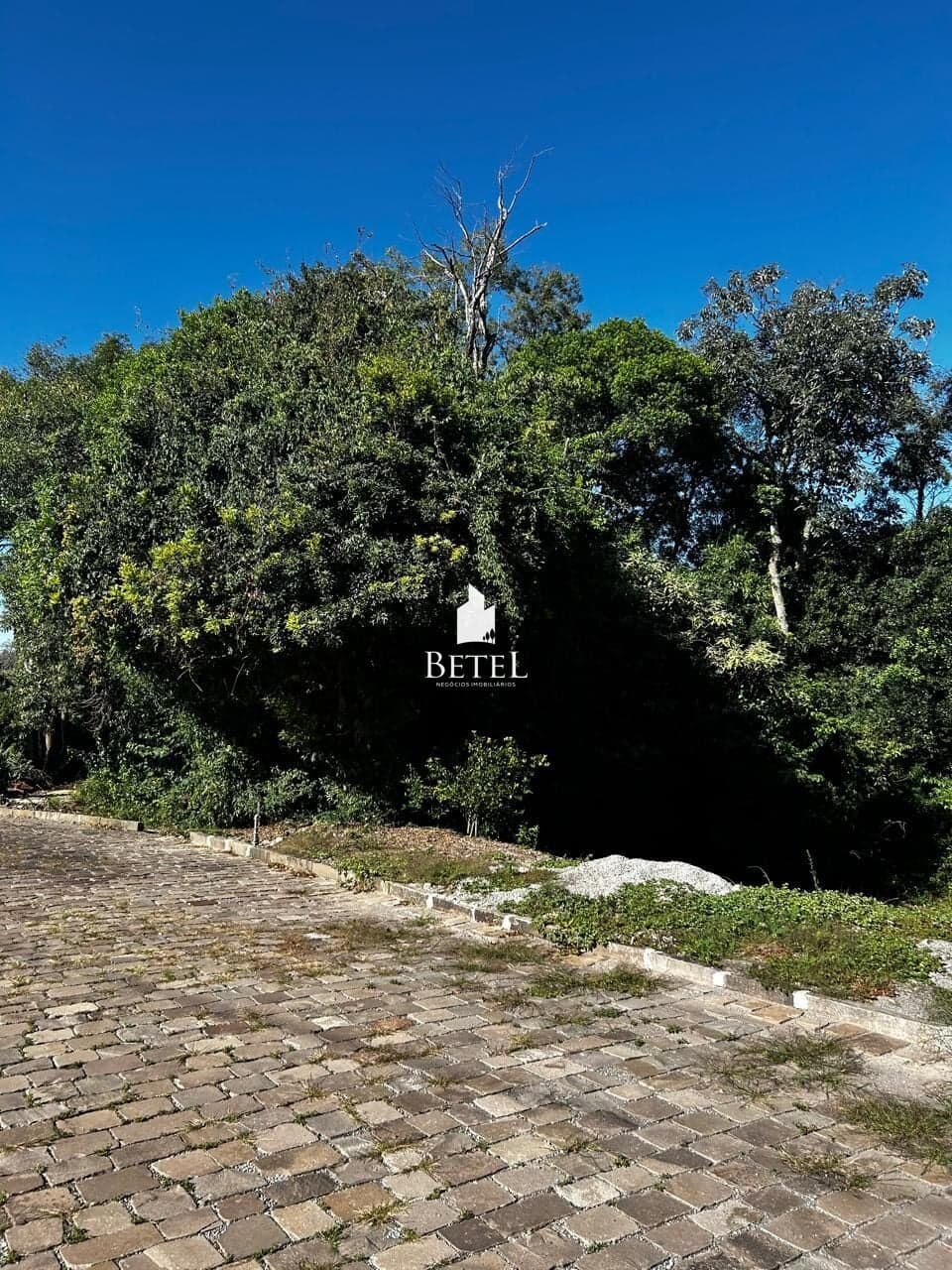 Lote/Terreno em Caxias do Sul - Linha 40