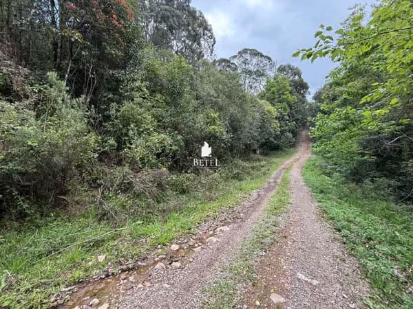 Fazenda/Sítios/Chácaras em Caxias do Sul - Ana Rech