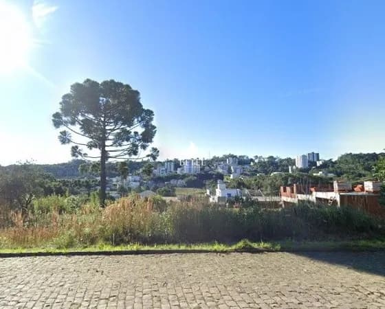 Lote/Terreno em Caxias do Sul - Vinhedos