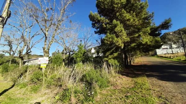 Lote/Terreno em Caxias do Sul - Nossa Senhora da Saúde