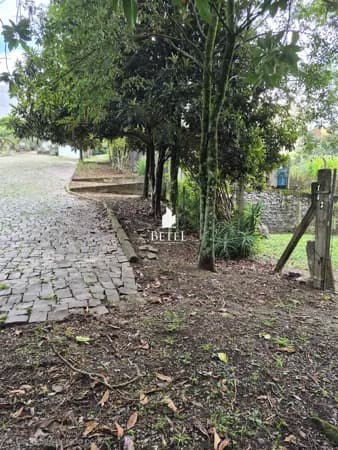 Lote/Terreno em Caxias do Sul - Santa Catarina