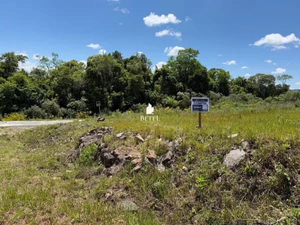 Lote/Terreno em Caxias do Sul - Industrial