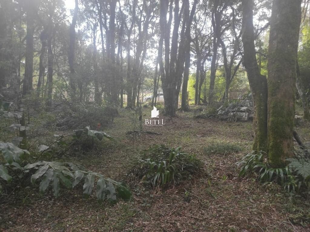 Lote/Terreno em Caxias do Sul - Ana Rech