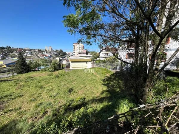 Lote/Terreno em Caxias do Sul - Sanvitto