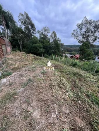 Lote/Terreno em Caxias do Sul - Vinhedos