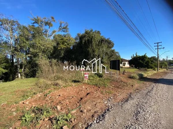 Lote/Terreno em Venâncio Aires - Grão Pará