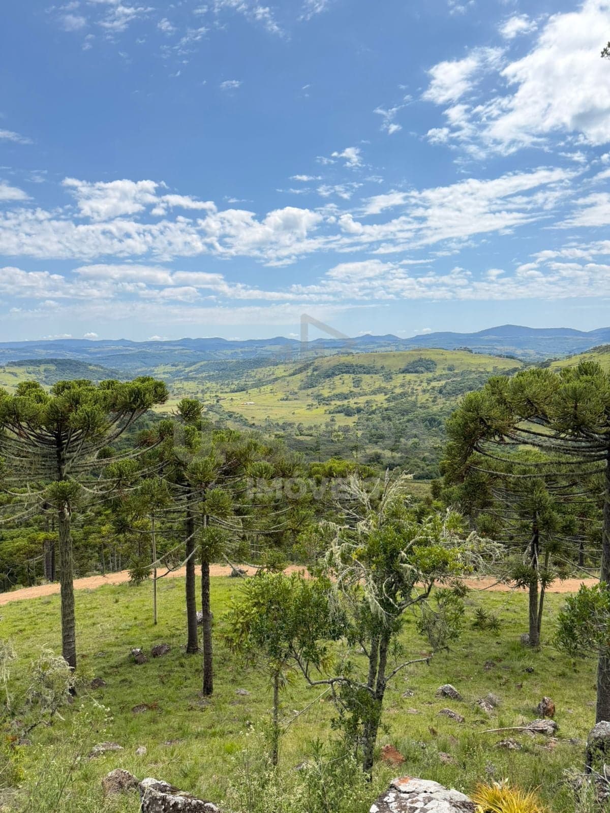Terreno de 2 ha em São Joaquim - Próximo a Vinícola Pericó