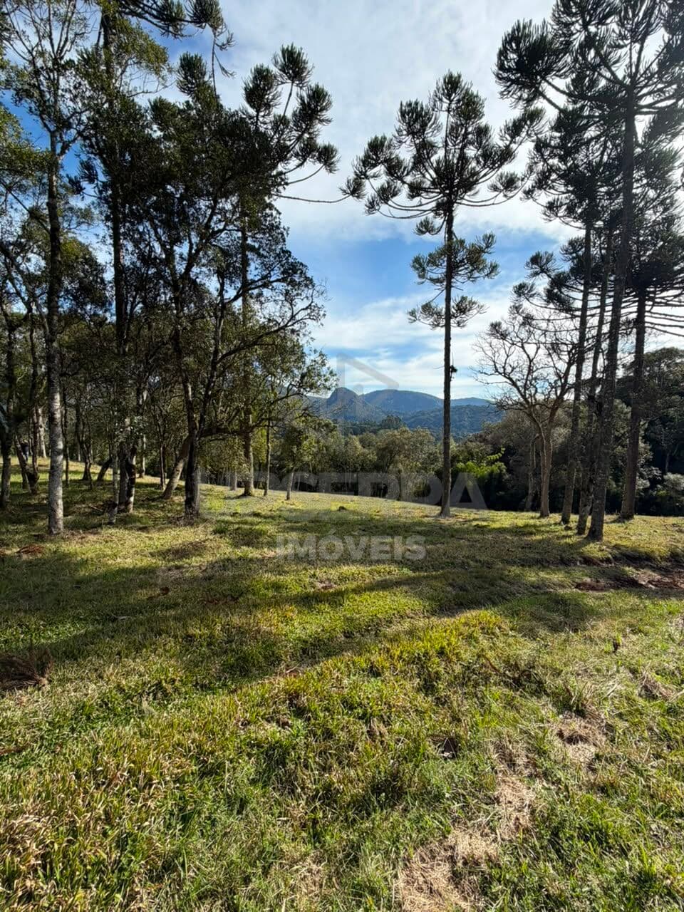 4 Hectares com Lago e 300m do Asfalto