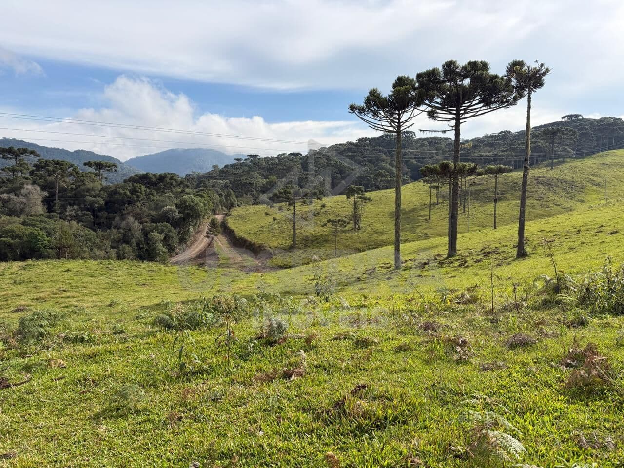 Terreno proximo ao centro de Urubici de frente para asfalto