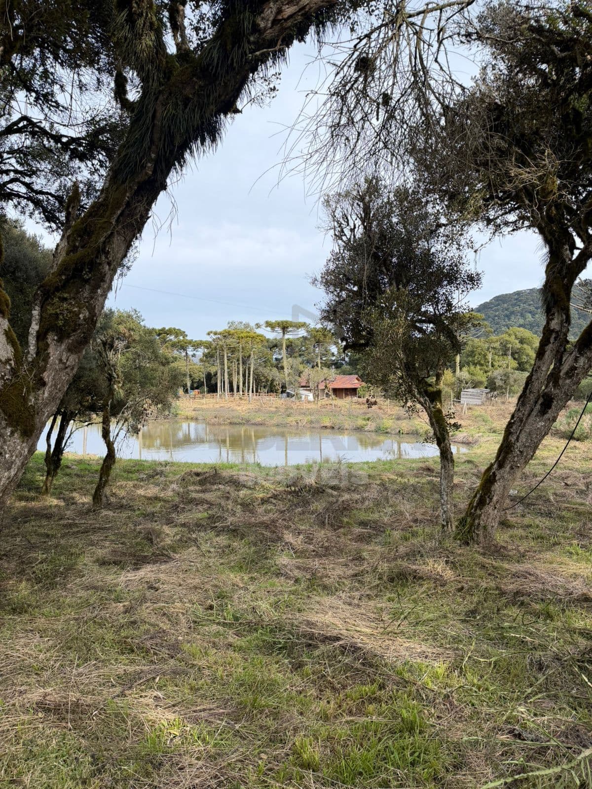 Terreno em Centro, Urubici/SC