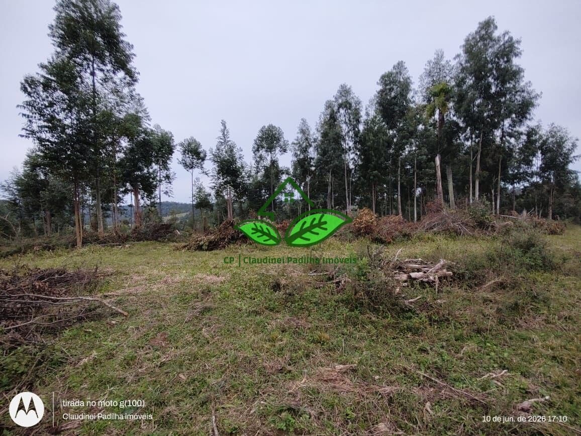 10.000 m² de terreno para sítio escriturado à venda a 500 m da RS-020 na parada 97 em Morungava-Gravataí/ RS