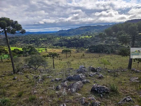 Terreno rural 20 hectares no Cedro