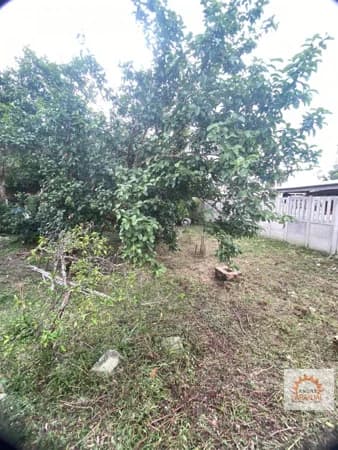Terreno para Venda em Laranjal Pelotas-RS