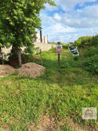 Terreno Lote para Venda em Laranjal Pelotas-RS