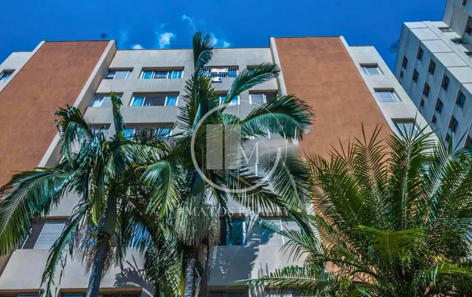 Apartamento - Cambuí