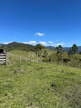 SÍTIO COM 22 HECTARES EM LAURO MUELLER