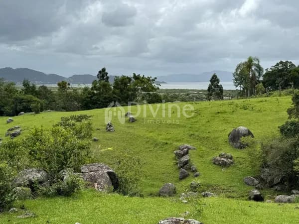 SÍTIO EM LARANJEIRAS