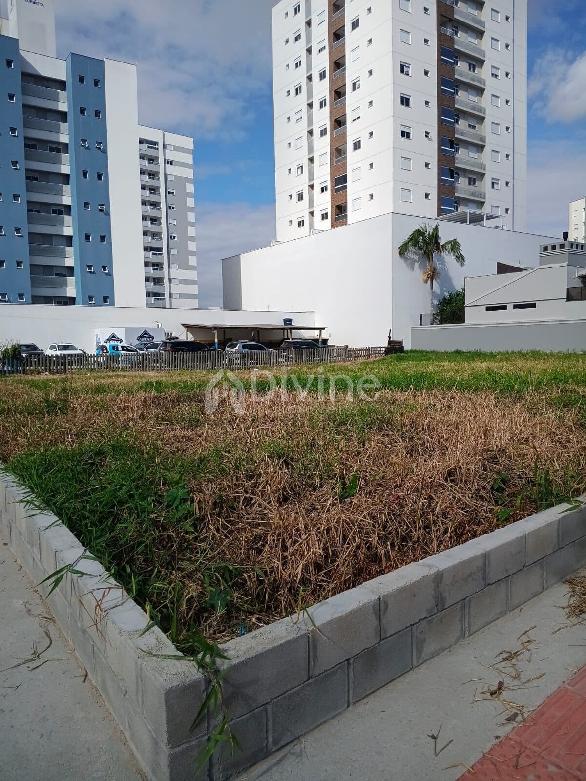 TERRENO NA VILA MOEMA