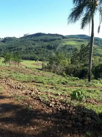 Sítio à venda em Sapopema/PR