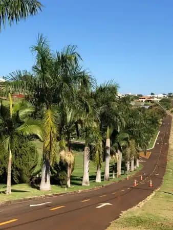Terreno à venda em Cambé/PR