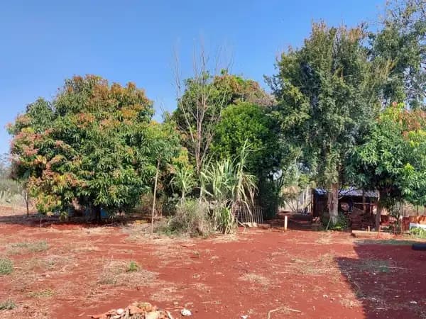 Terreno à venda em Ibiporã/PR