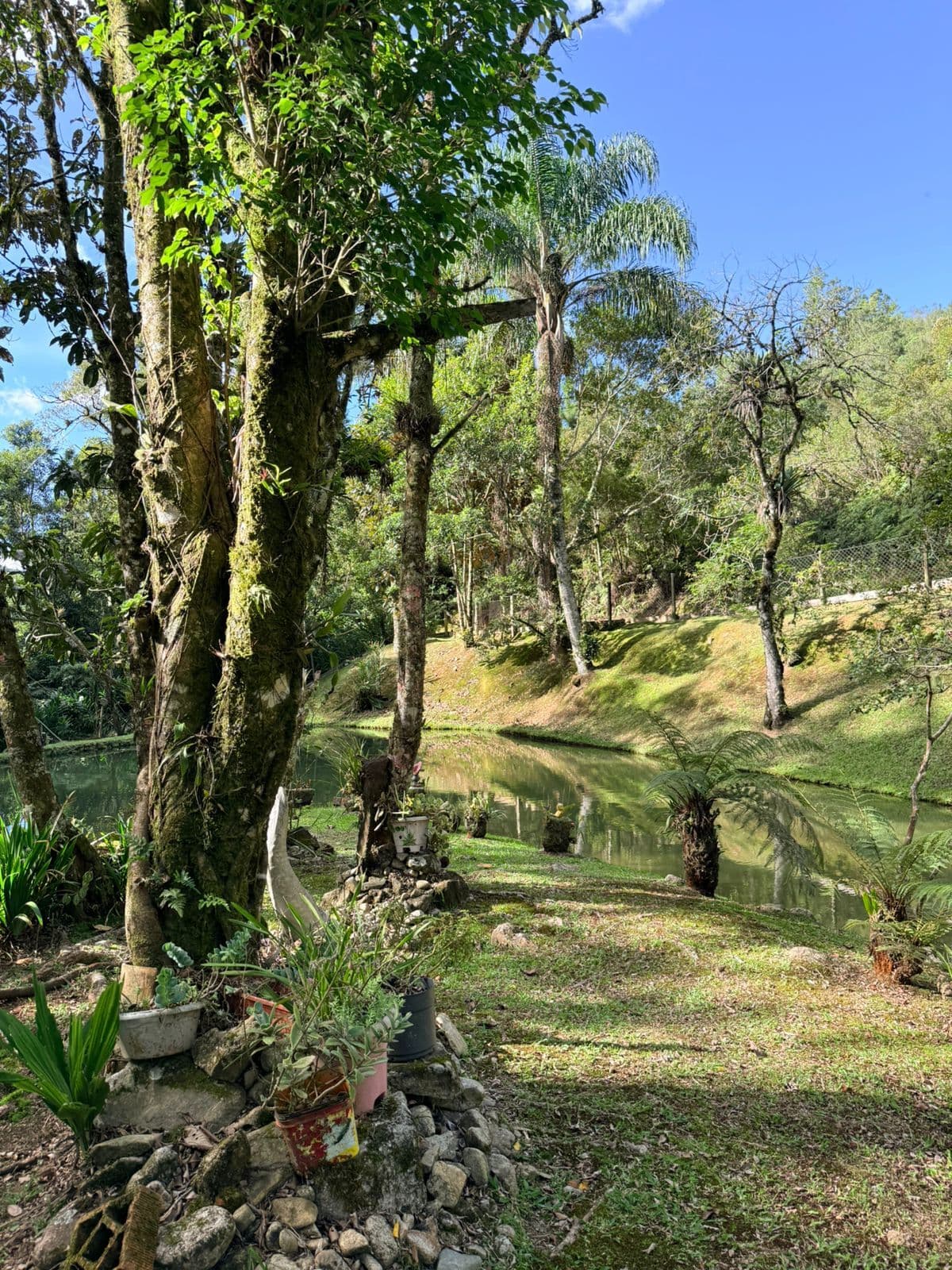 Sítio de 2,1ha com casa à venda em Águas Mornas/SC