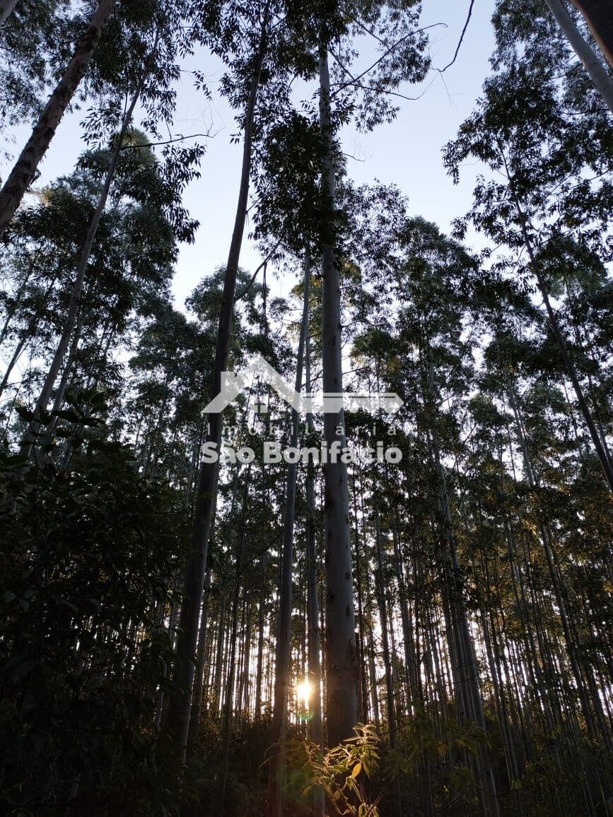Área Rural em Rio Chicão, São Bonifácio/SC