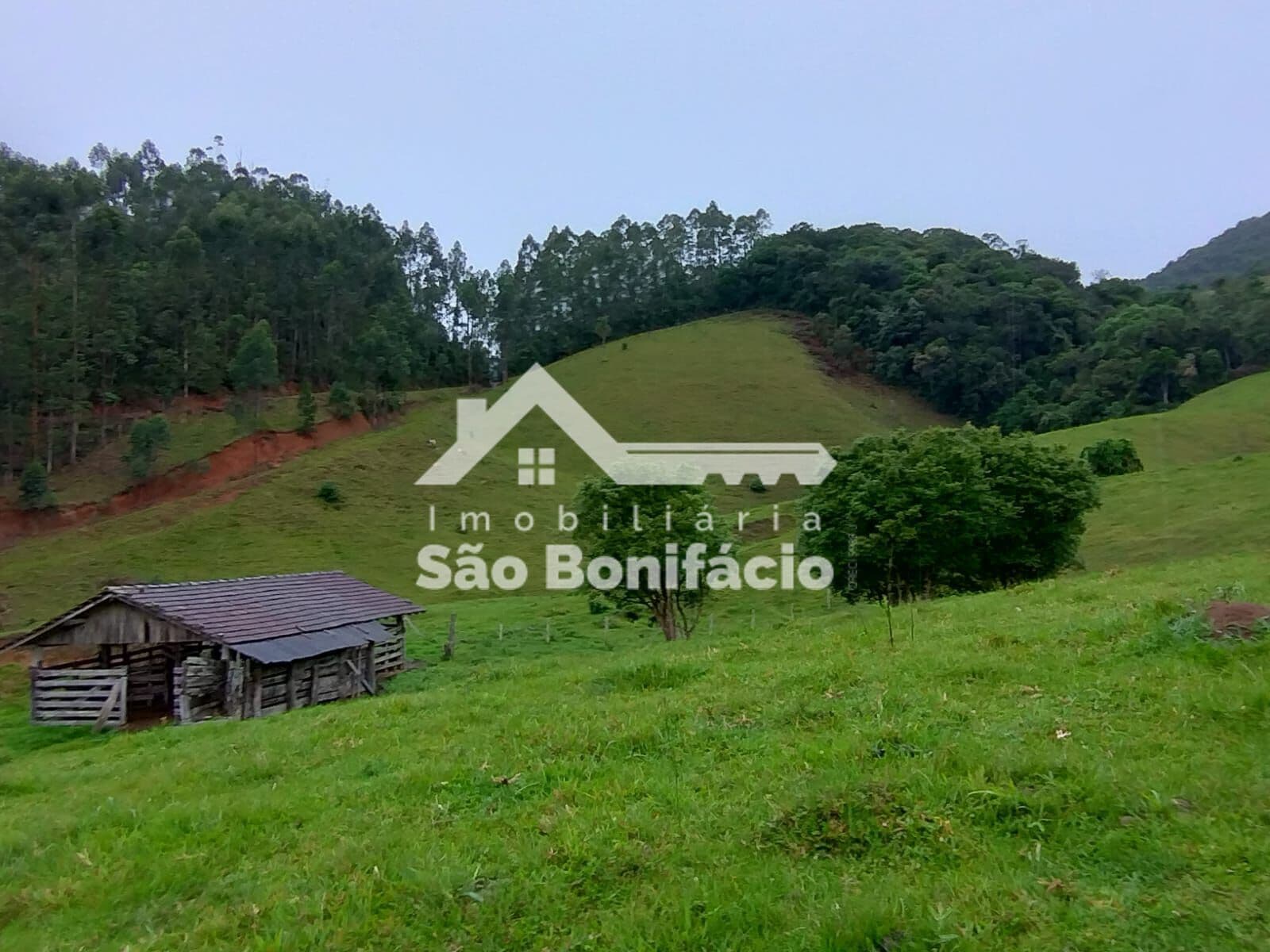 Fazenda/Sítios/Chácaras em São Bonifácio - Centro