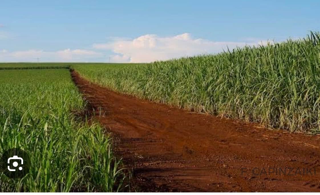 Fazenda de cana em Jaú - 10 alqueires