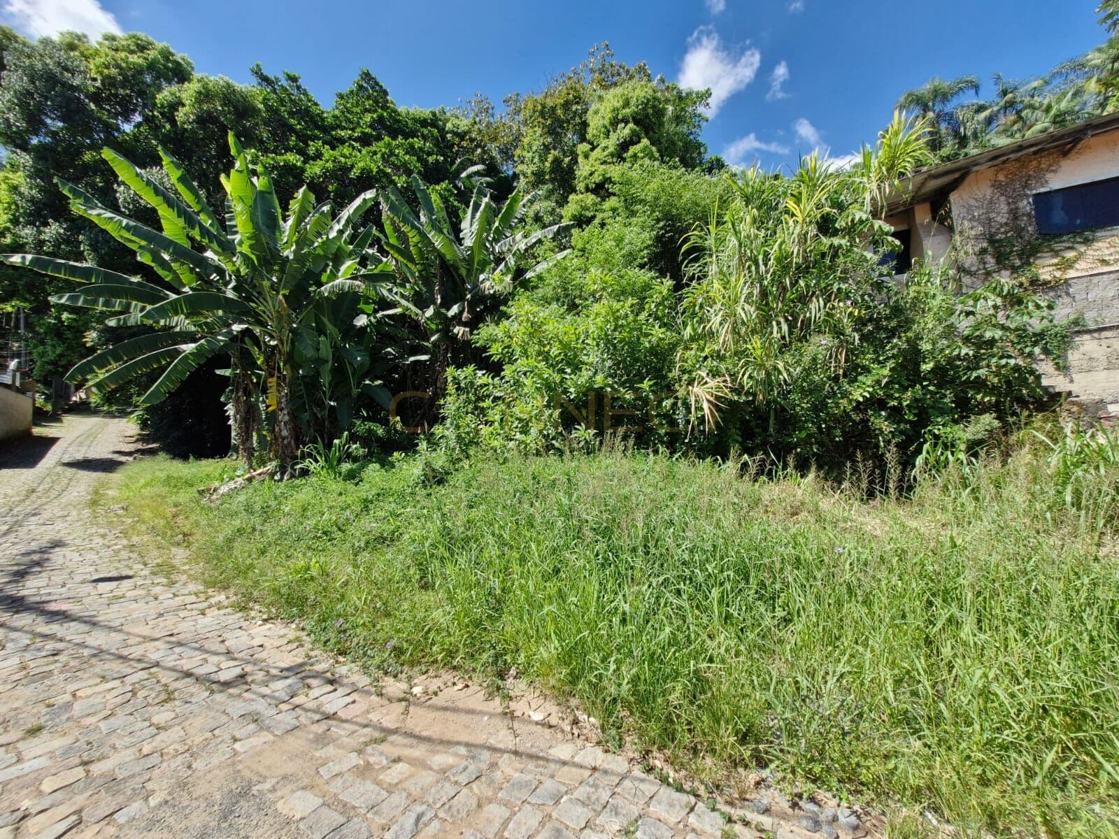 Terreno em Velha, Blumenau/SC