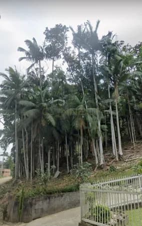 Lote/Terreno em Blumenau - Testo Salto