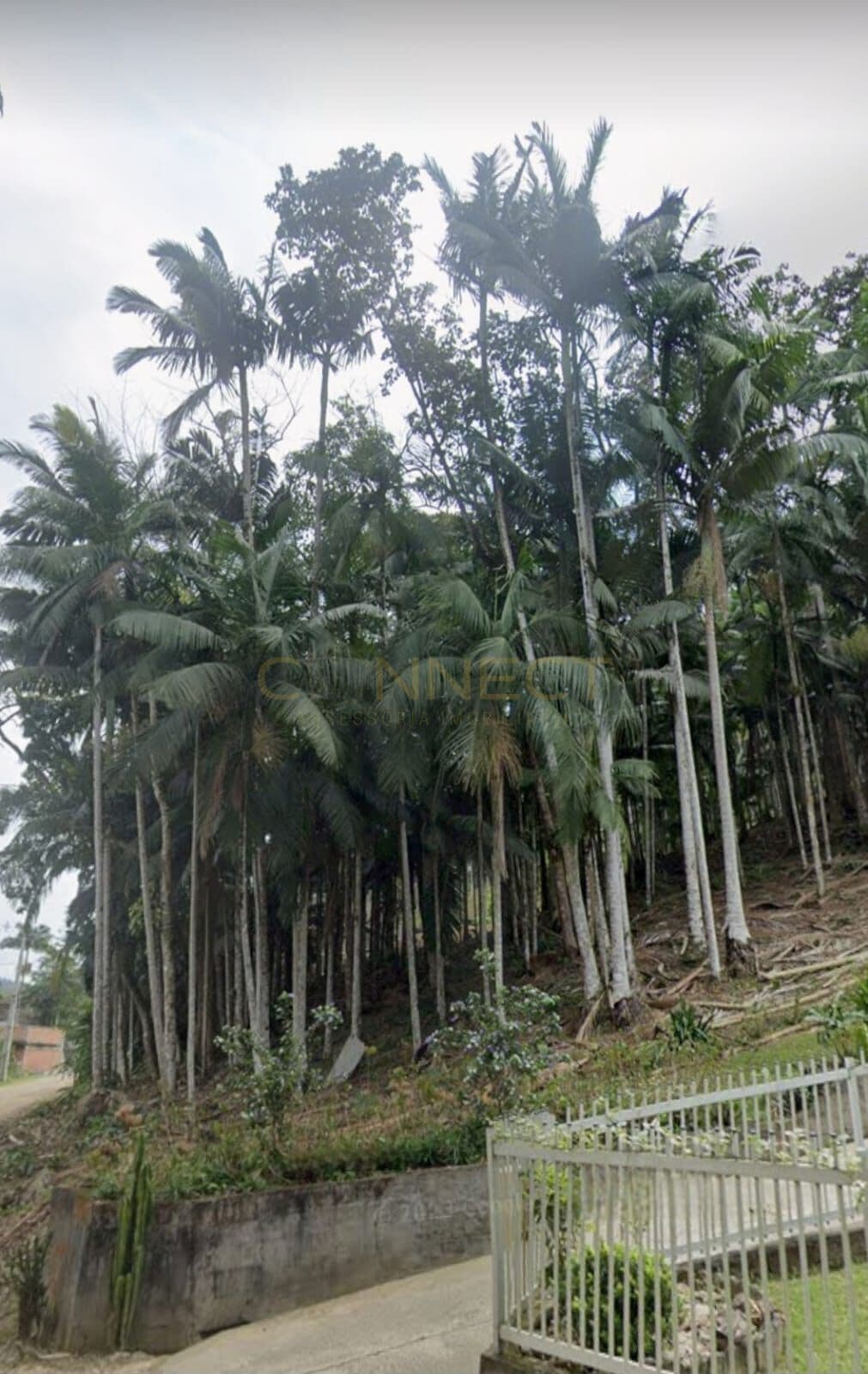 Lote/Terreno em Blumenau - Testo Salto