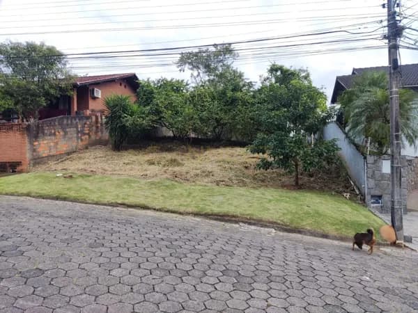 Terreno com 564,90m2 no Bairro da Velha - Blumenau