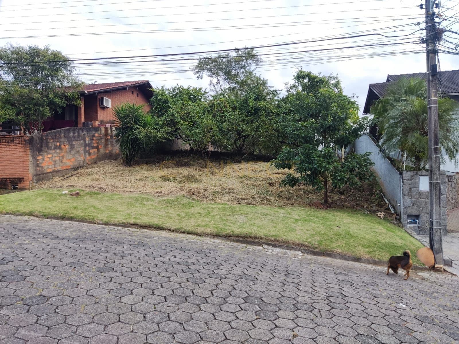 Terreno com 564,90m2 no Bairro da Velha - Blumenau