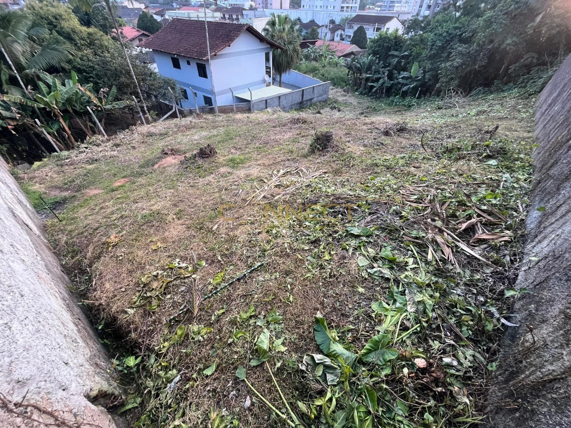 Terreno à venda no bairro Escola Agrícola em Blumenau/SC