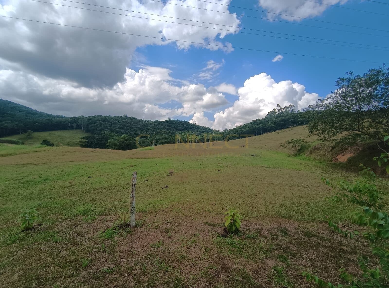 Terreno de grande porte no Bairro Fidelis