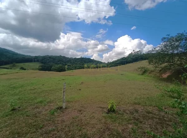 Terreno de grande porte no Bairro Fidelis