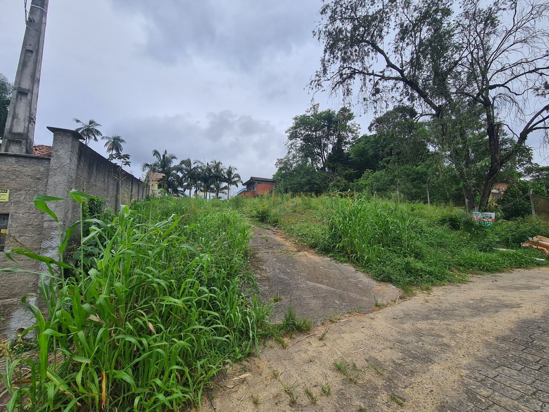 Terreno 595m2 bairro Itoupavazinha