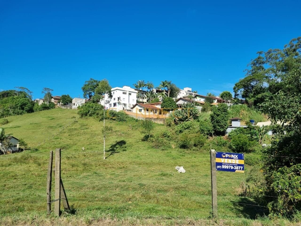 Terreno à venda no bairro Fortaleza Alta em Blumenau/SC