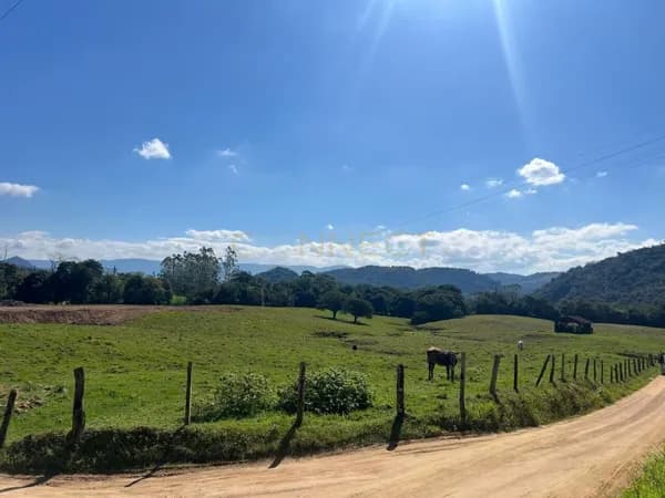 Fazenda/Sítios/Chácaras em Indaial - Warnow